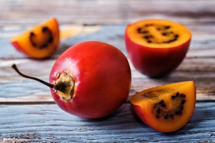 Cà chua thân gỗ là loại trái cây phù hợp cho những người mắc bệnh tiểu đường. Ảnh: vietwiki.vn
